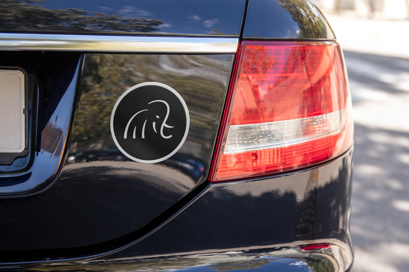 bumper sticker